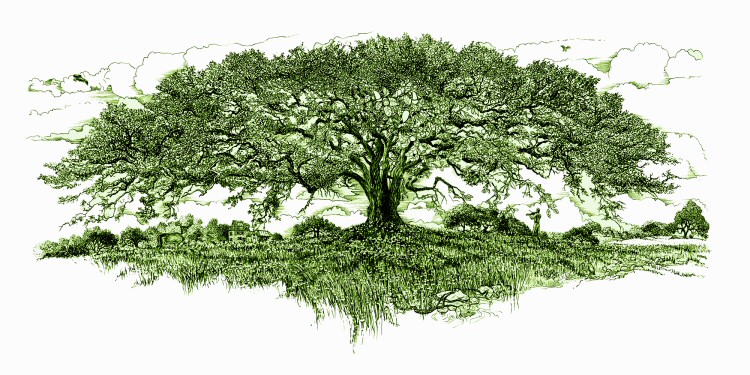 "Tree of Reverie" Artwork by Ted Baumgart